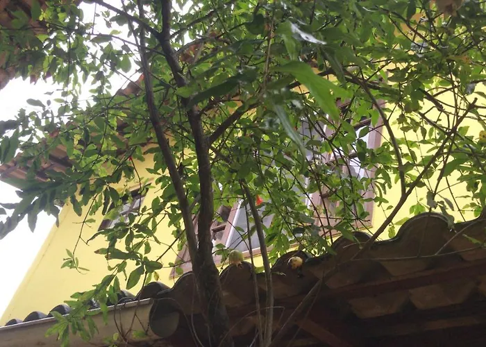 Solar Glorinha Apartamento Búzios